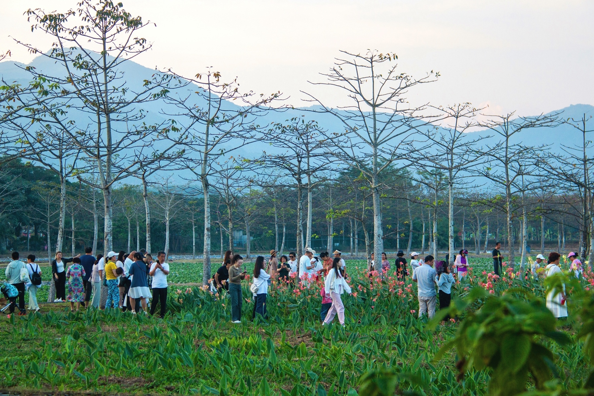 三亚美高梅度假酒店(三亚美高梅度假酒店简介)-第2张图片