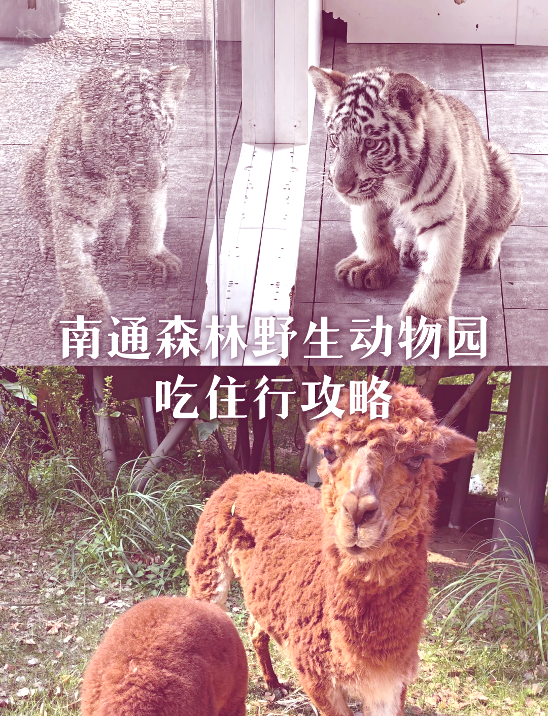 江苏旅游攻略.四月江苏旅游攻略？-第1张图片