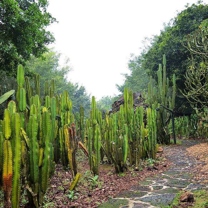 海南海口前十旅游景点(海南省海口前十旅游景点)-第1张图片