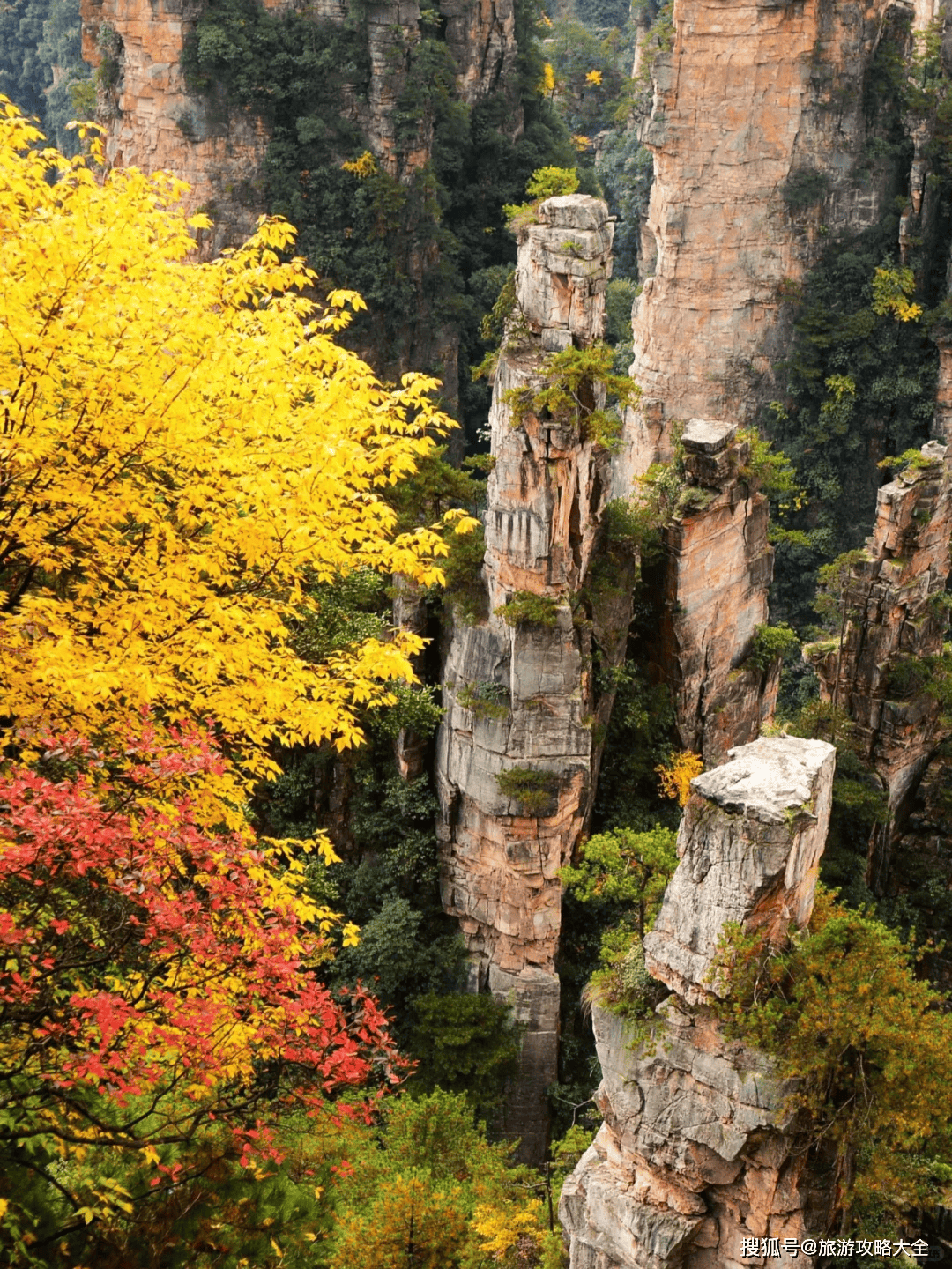 【张家界自助游最佳攻略,张家界自助游记】-第1张图片