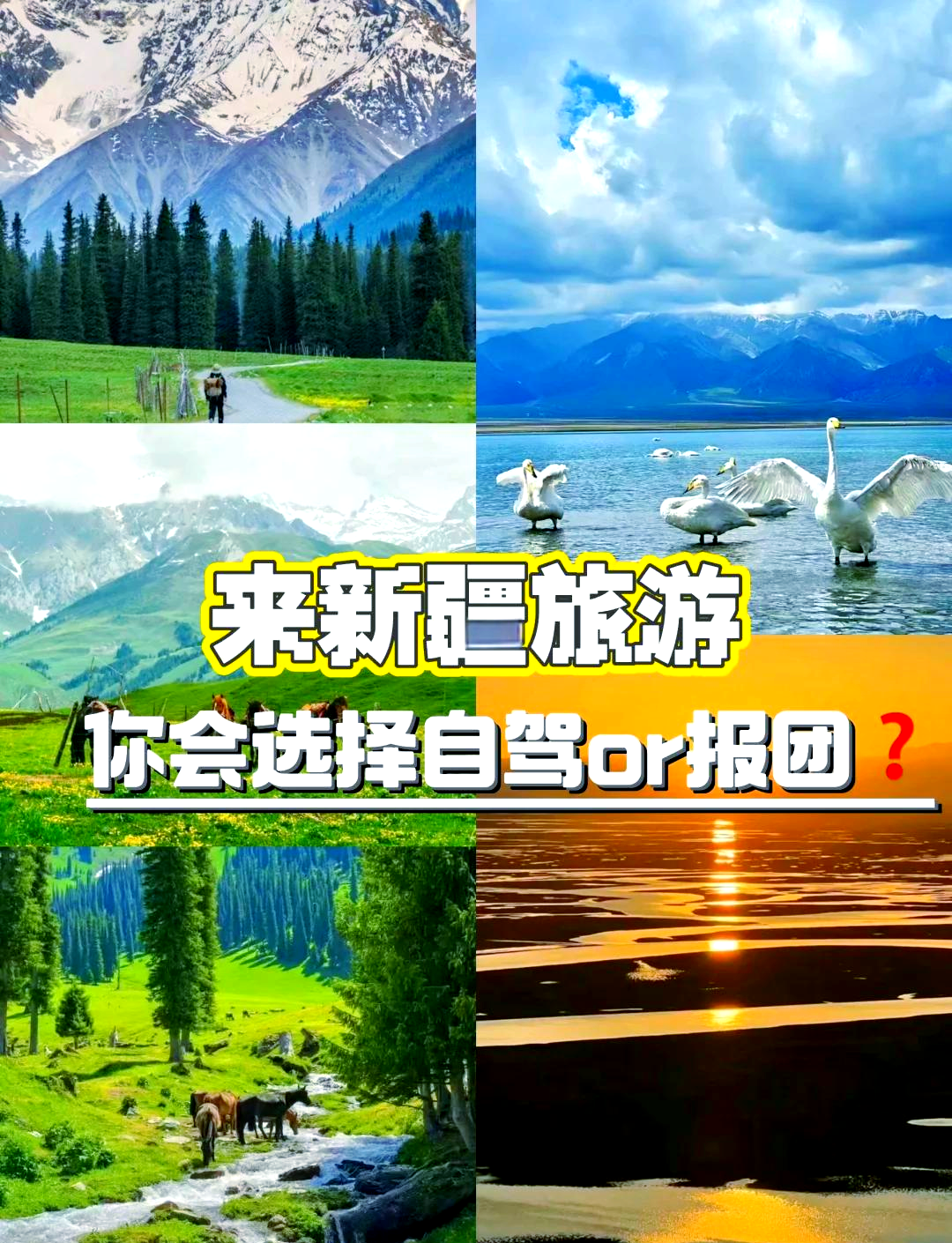 旅游报团在哪里报比较靠谱,报旅游团在哪个平台报比较好-第1张图片
