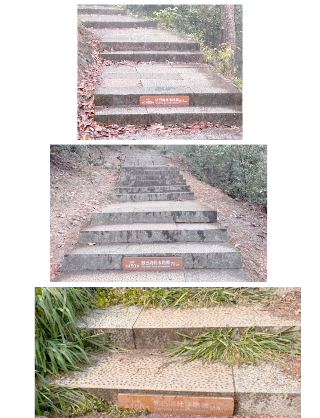 “蜀南竹海一日游攻略	” 蜀南竹海一日游最佳路线？-第2张图片