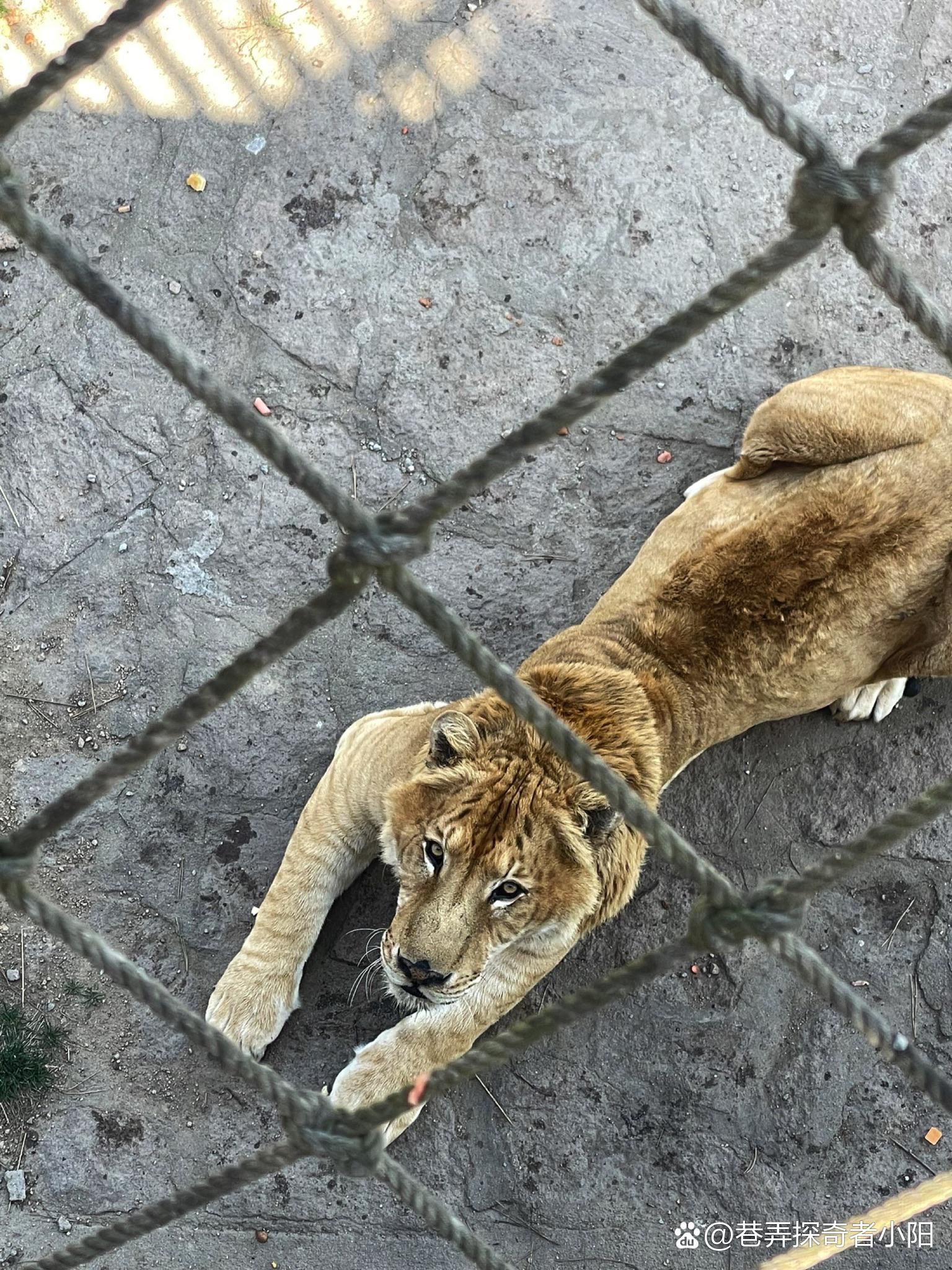 “威海有什么好玩的地方	” 威海有什么景点值得玩？-第2张图片