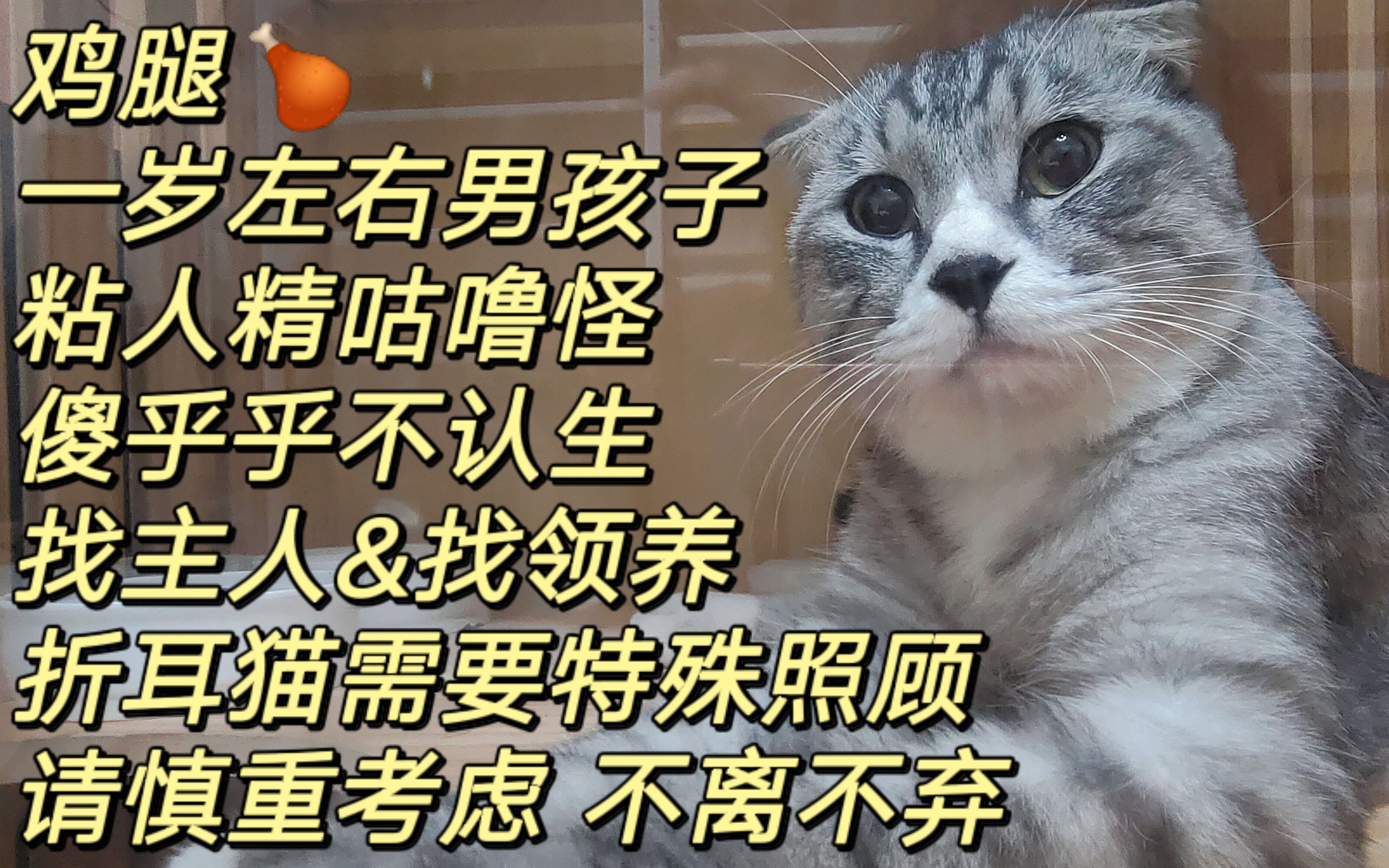 女孩让男孩吃菠萝是什么意思,女孩子让男孩子吃菠萝-第1张图片