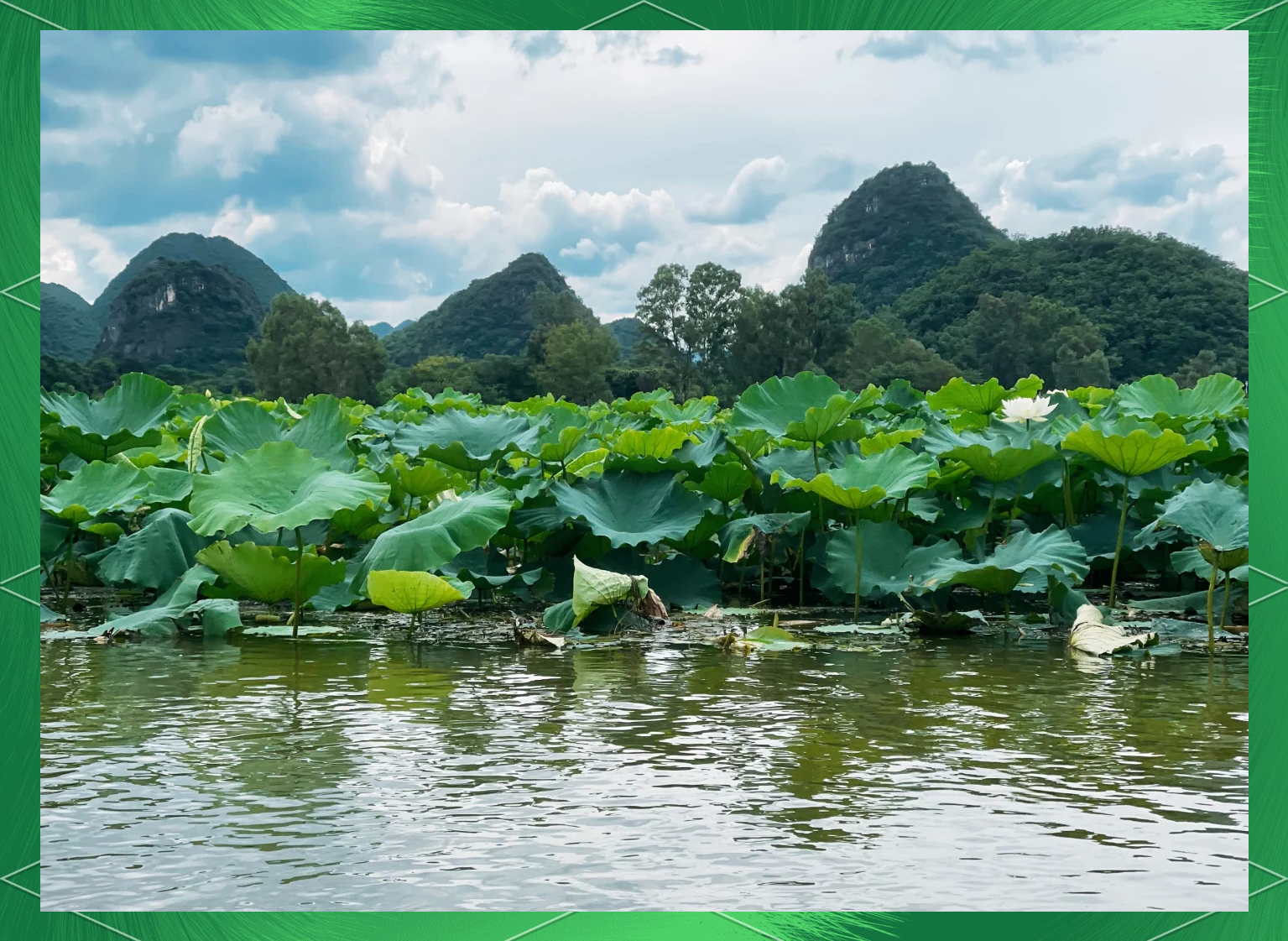 “普者黑最佳旅游时间” 普者黑最佳旅游时间是几月份？-第1张图片