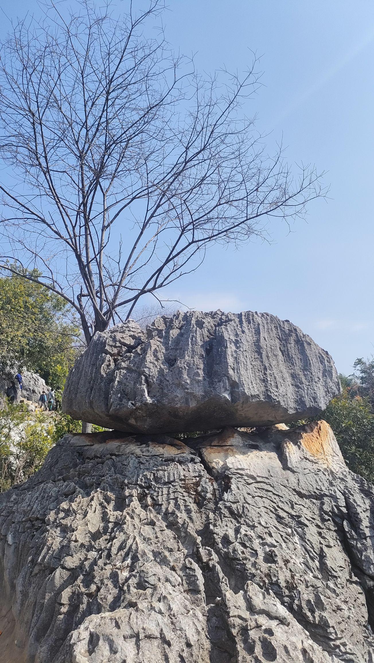 “昆明石林风景区” 昆明石林风景区图片？-第2张图片