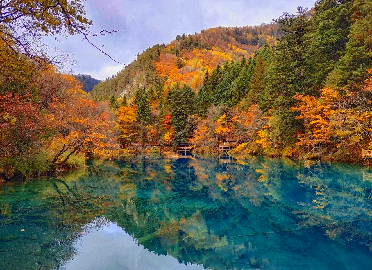 “四川九寨沟旅游攻略自由行攻略	” 四川九寨沟旅游攻略自由行攻略图片？-第1张图片