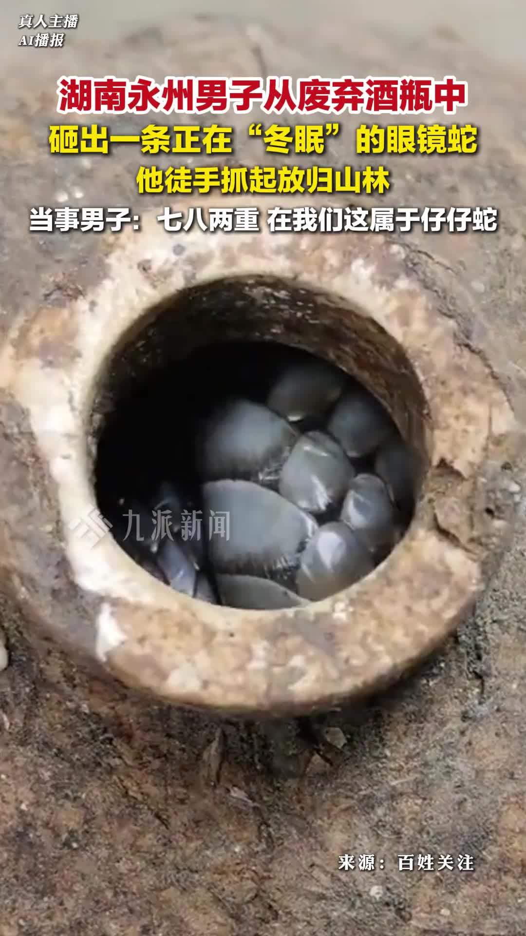 【挖山挖出大蛇/挖出大蛇当场吓死】-第2张图片