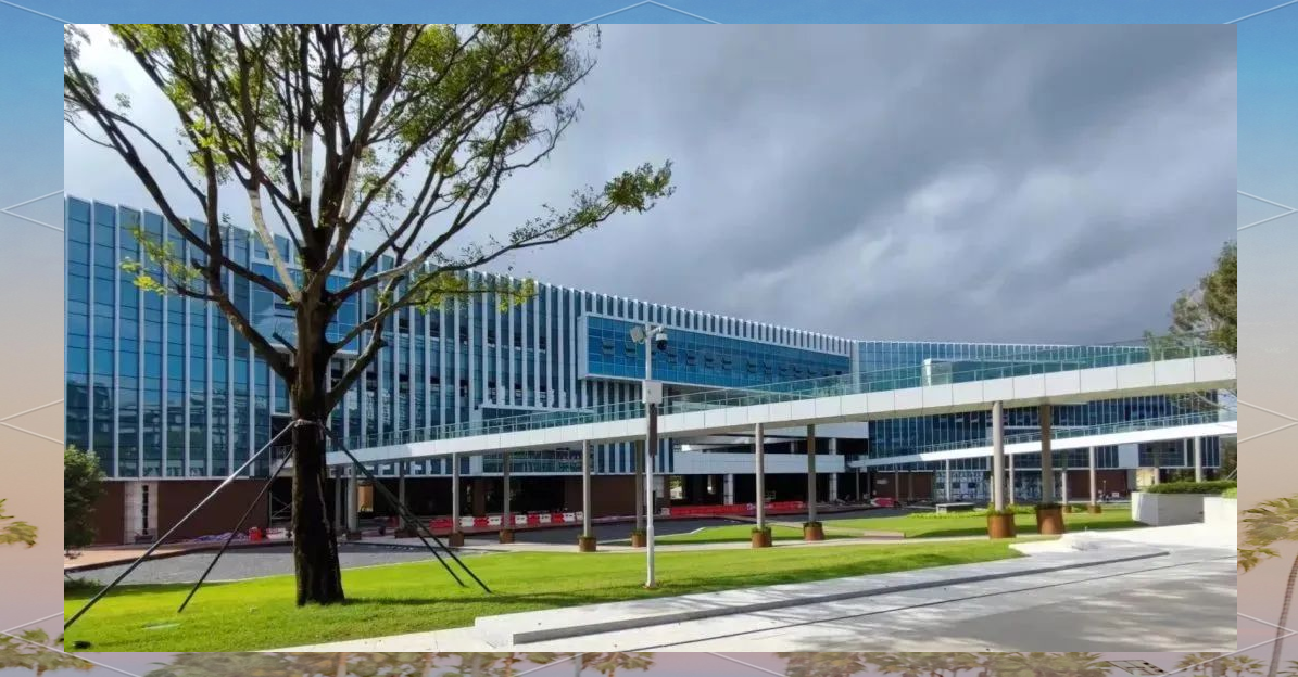 【深圳大学鸟瞰/深圳大学全景图】-第2张图片