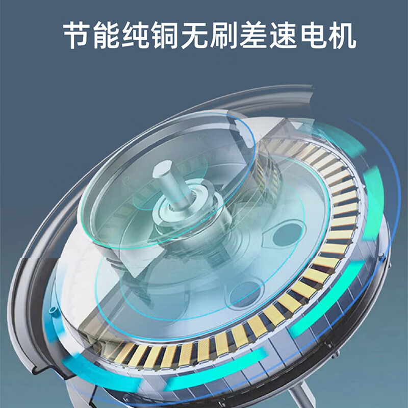 电动三轮车品牌排名榜︰(电动三轮车品牌排名榜前十名)-第1张图片