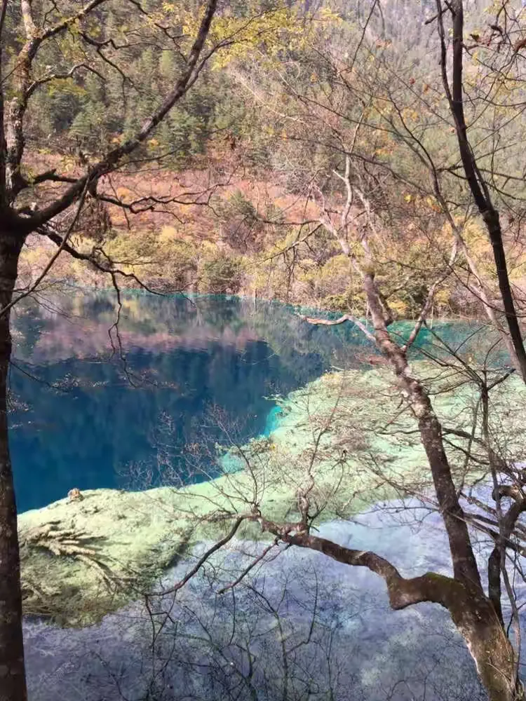 九寨沟旅游询问电话九寨沟服务景区电话-第1张图片
