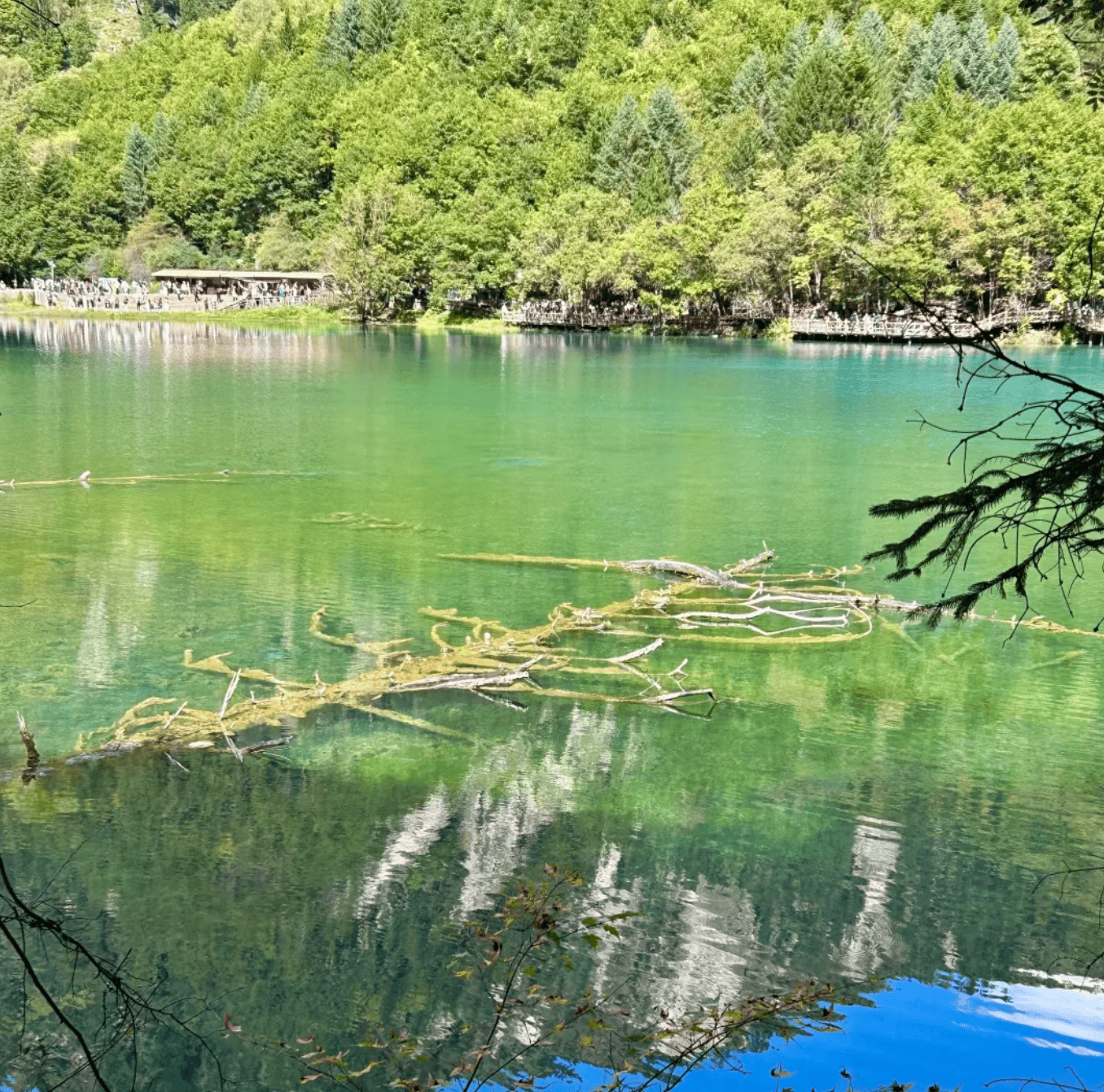 “四川省内旅游景点推荐” 四川省内景区旅游？-第2张图片