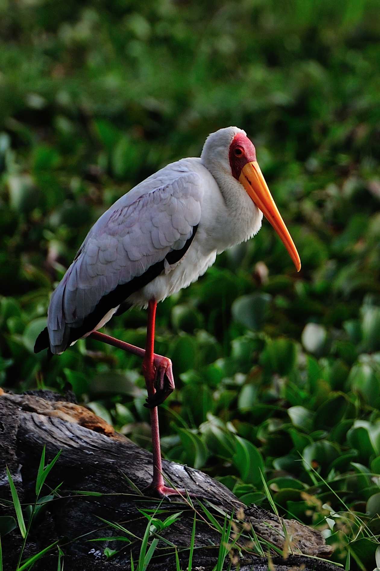 肯尼亚时间-非洲肯尼亚时间-第1张图片