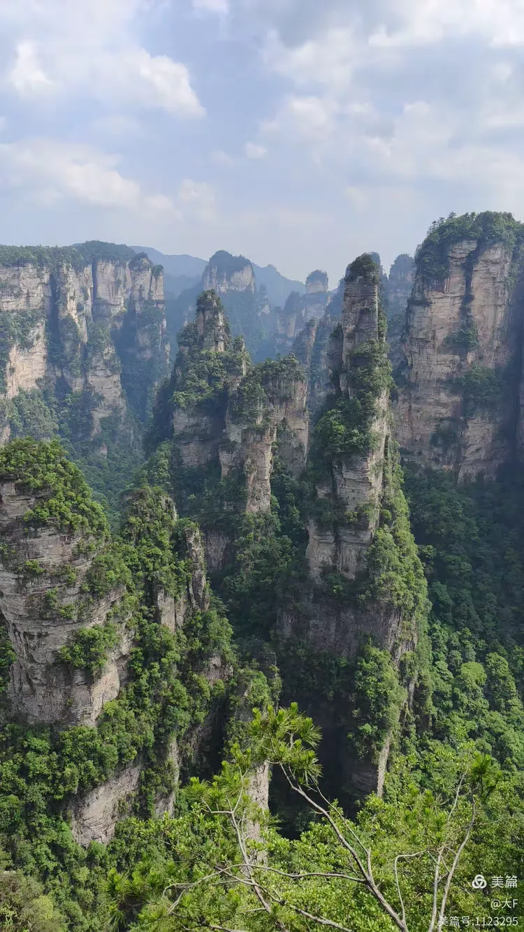 湖南张家界旅游景区.湖南张家界旅游景区图片-第1张图片