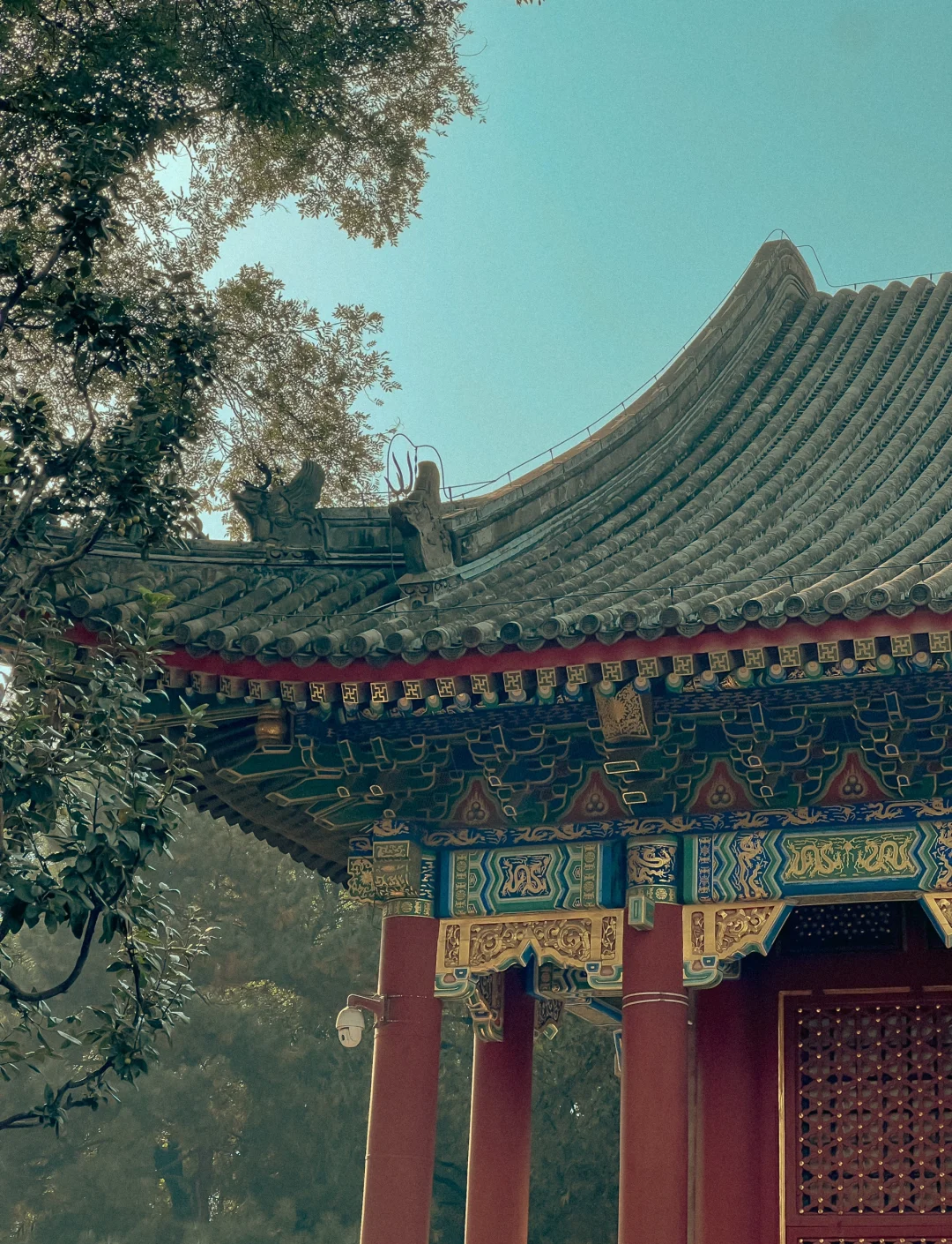 故宫没有开放的地方多恐怖︰(故宫没有开放的区域)-第2张图片