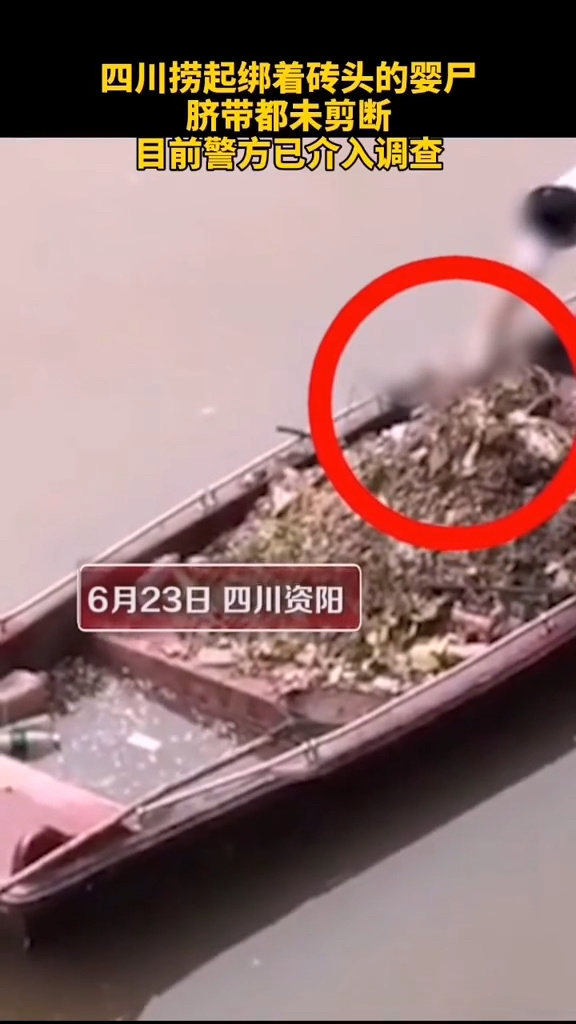 镀金婴尸养得活吗-镀金婴尸喝血-第1张图片