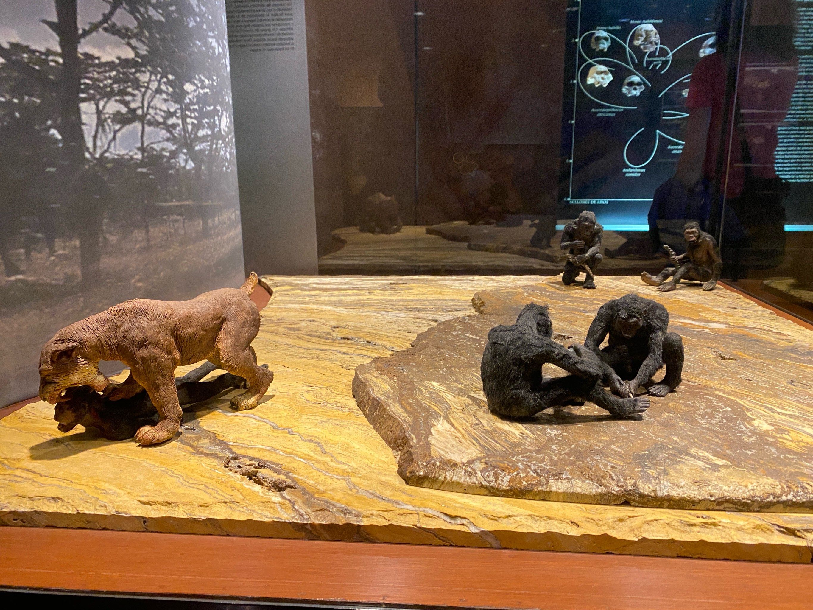 【墨西哥外星人文物/新墨西哥外星人博物馆】-第1张图片