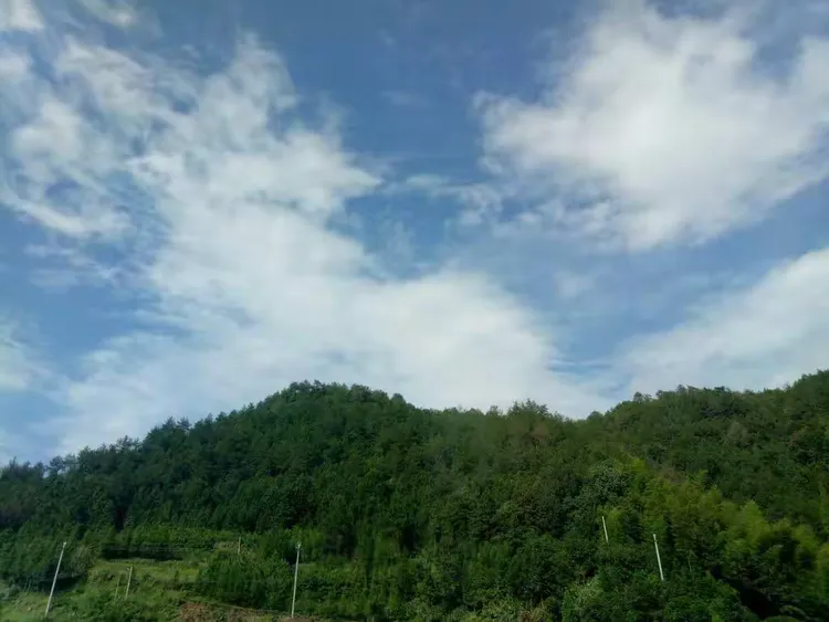 【南麂岛船票网上预订/南麂岛船票怎么订票】-第2张图片