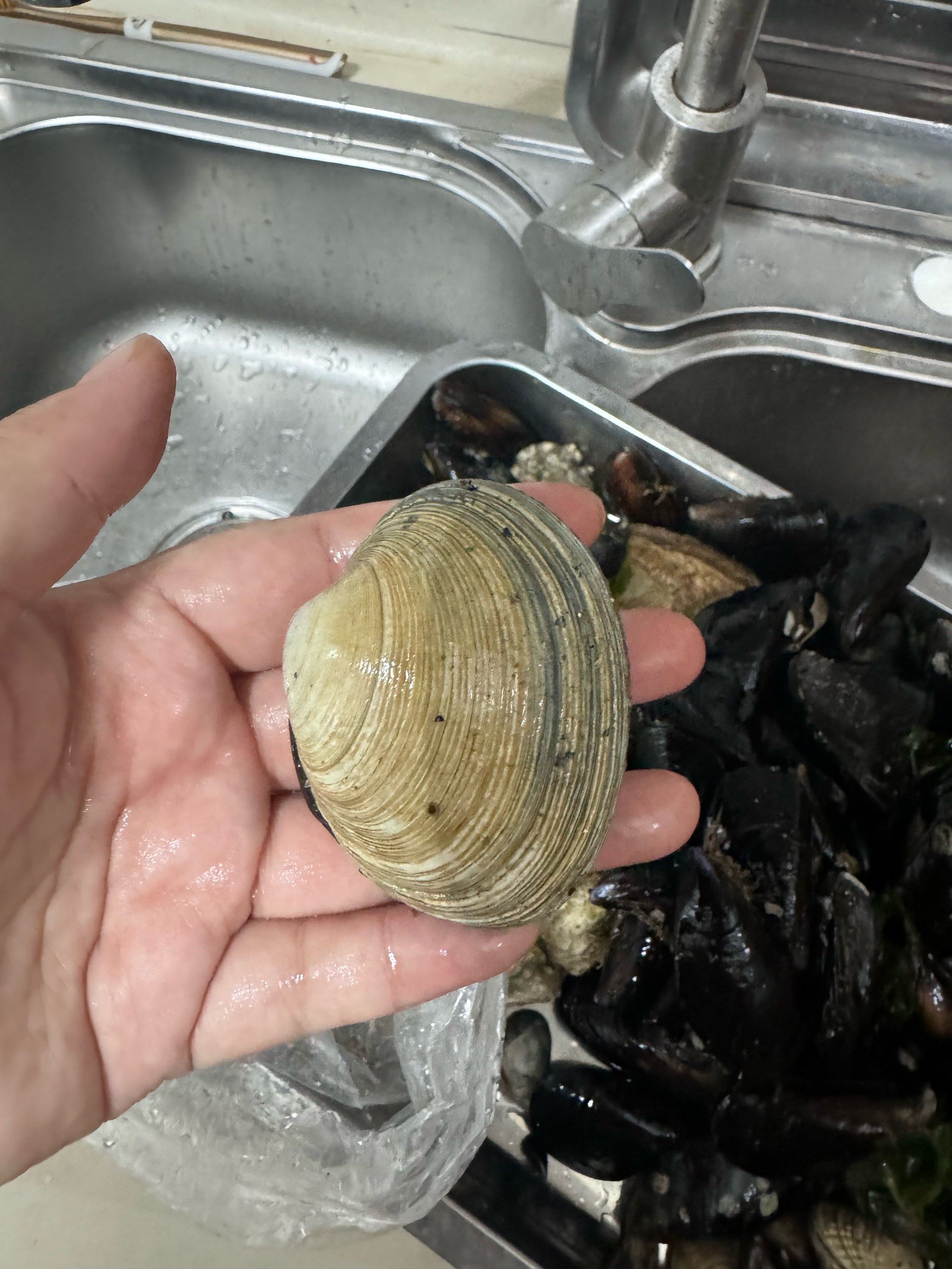 “海地人民吃土	” 海地人民吃土是真的吗？-第2张图片