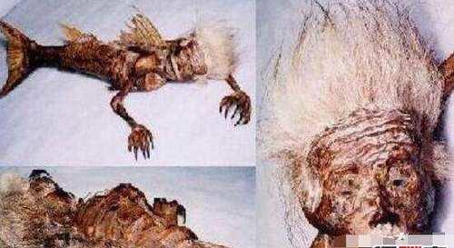 “这世界上真的有美人鱼吗	” 世界上真真的有美人鱼吗？-第1张图片