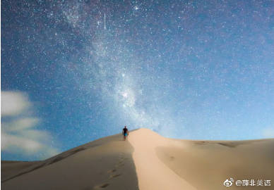 gnr网络语什么意思gnrh什么意思-第1张图片