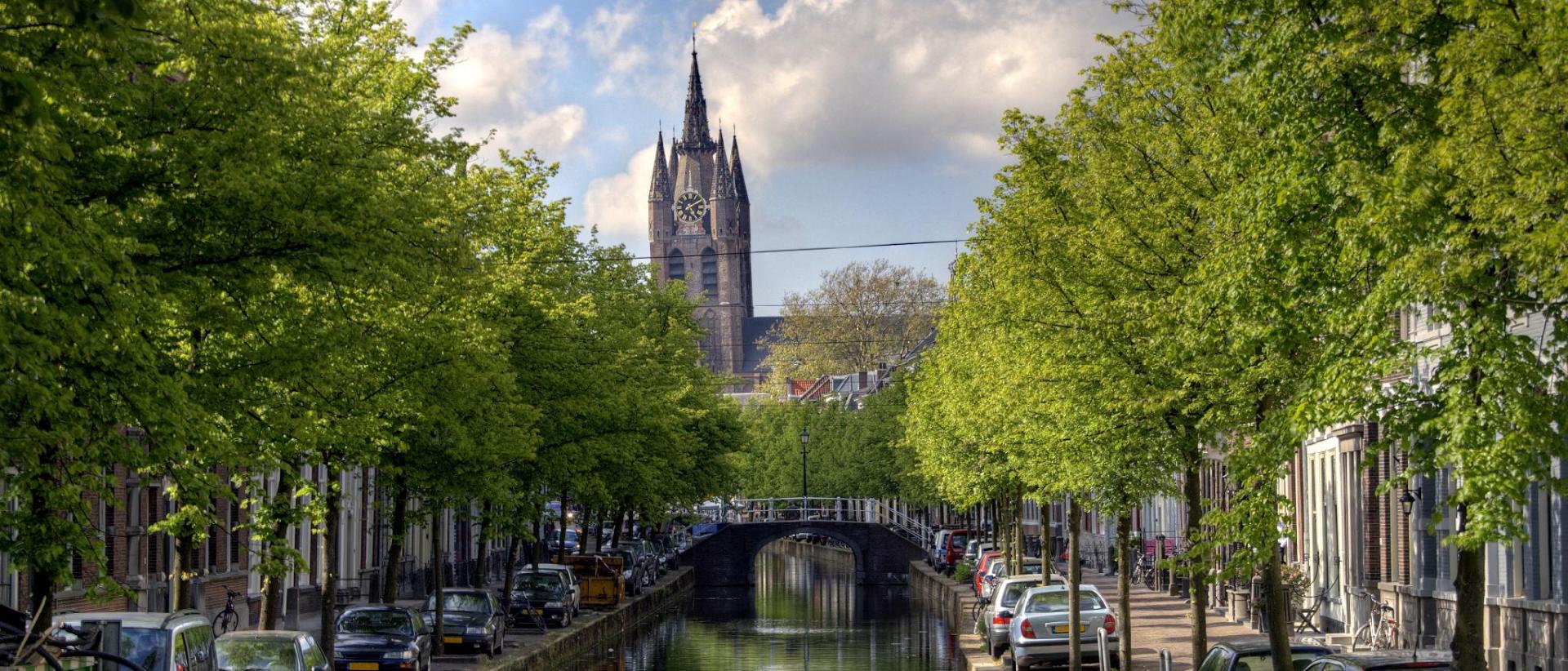 代尔夫特地区疫情.代尔夫特地区疫情严重吗-第1张图片