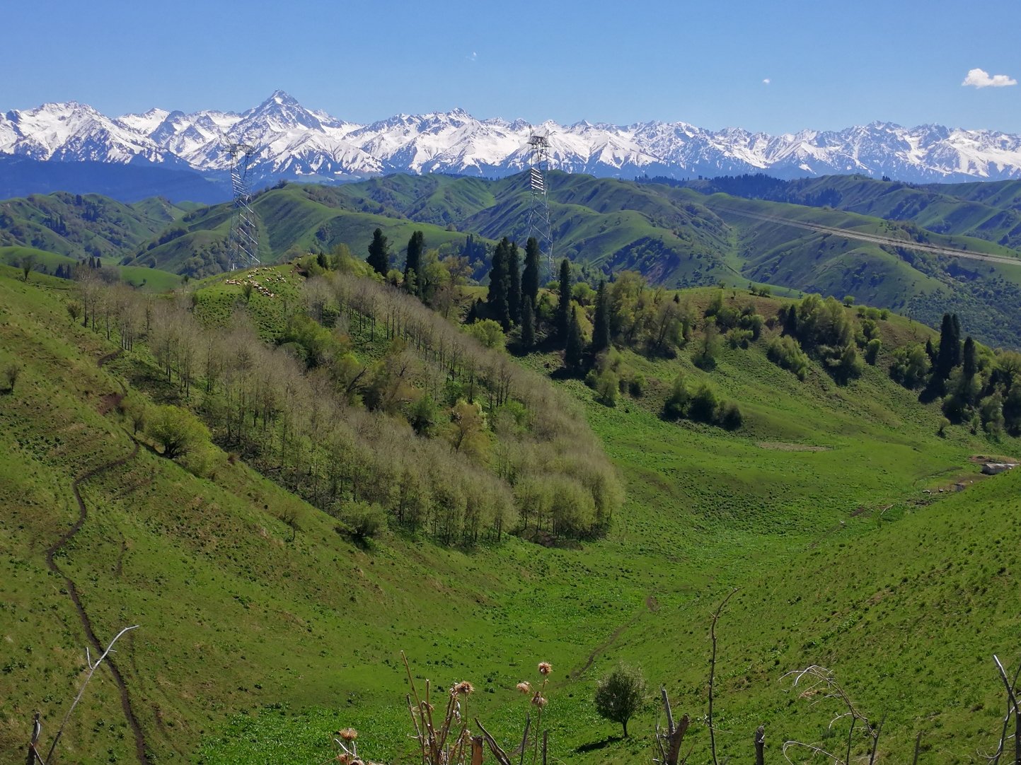 新疆伊犁新源地区疫情,新疆伊犁地区最新疫情-第1张图片
