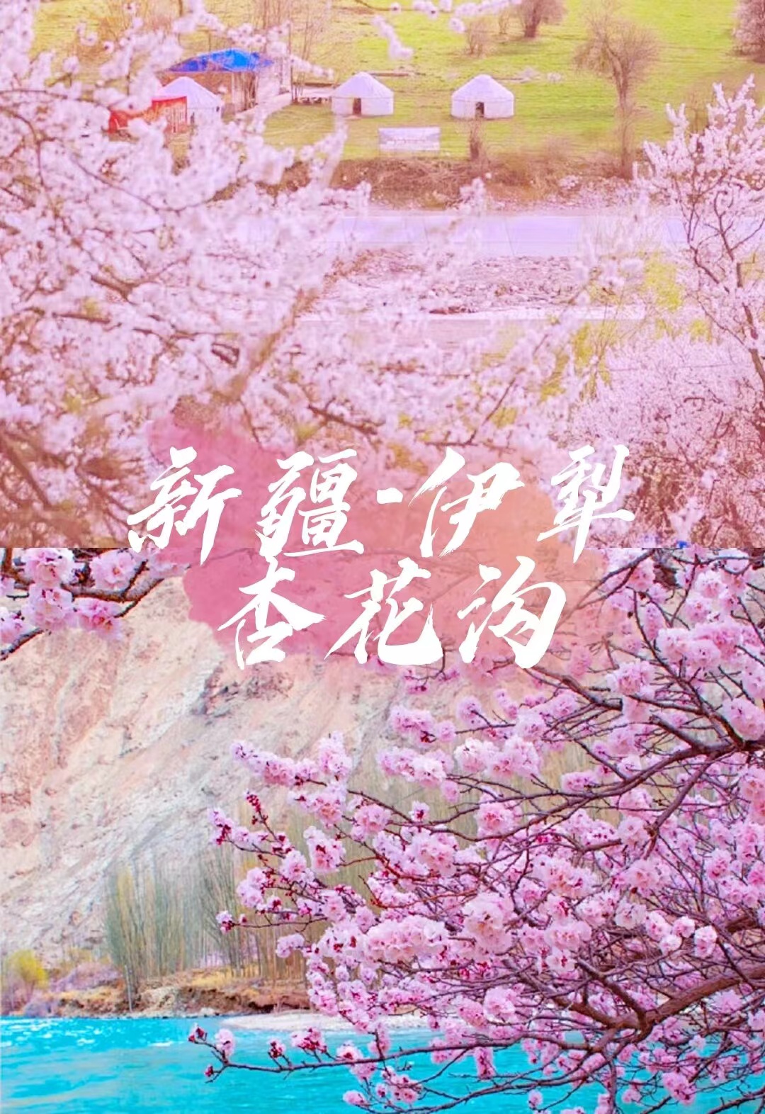 去哪旅游网官方网站去哪旅行网是正规网站吗-第2张图片