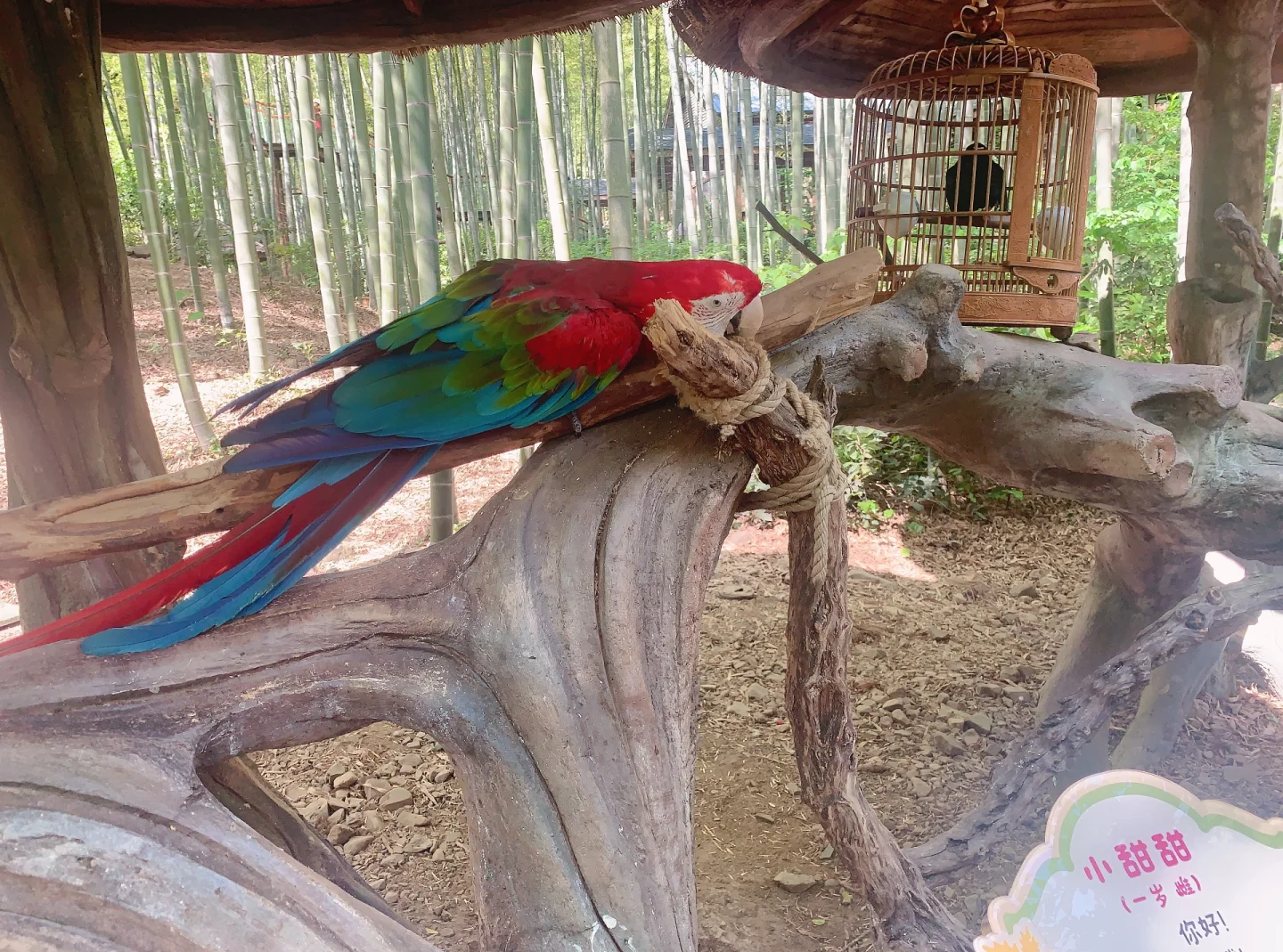 “南山文化旅游区	” 南山文化旅游区占地多少平方公里？-第2张图片