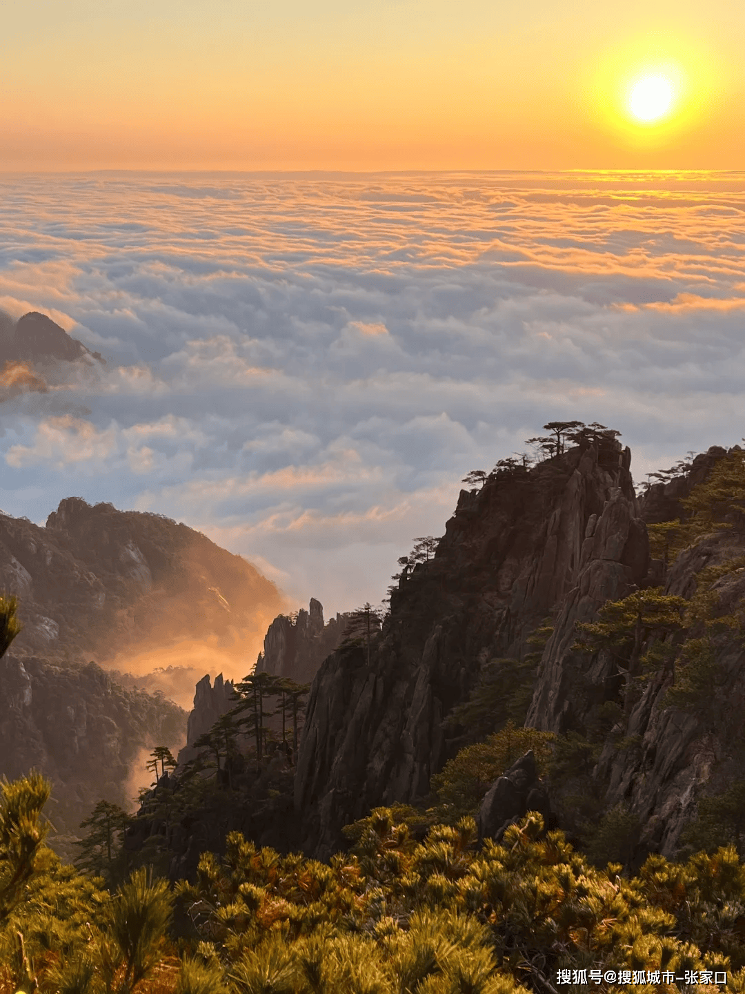 黄山风景图片黄山风景图片欣赏-第2张图片