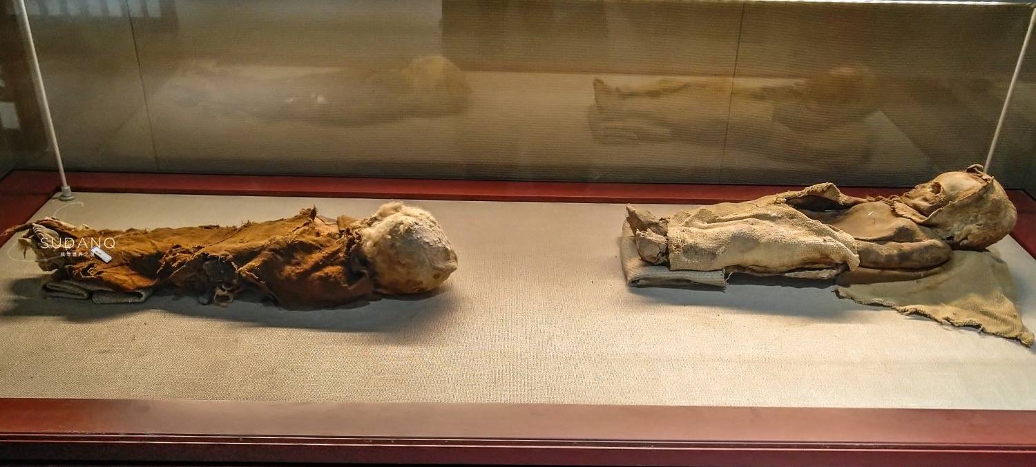 【楼兰女尸是哪个朝代的/楼兰女尸是哪个朝代的人】-第1张图片