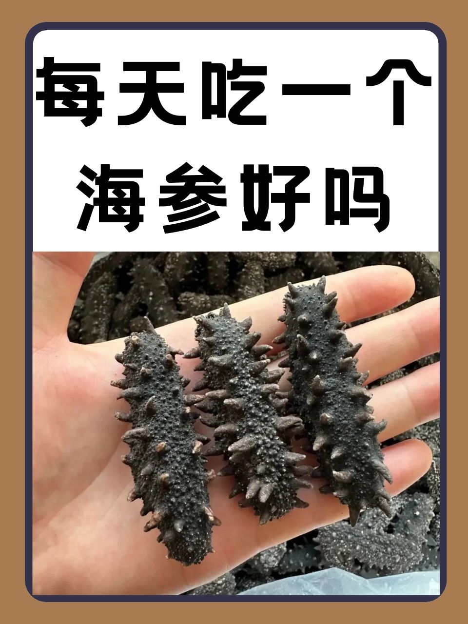 海参品牌排名榜中国比较好的海参品牌排名榜-第2张图片