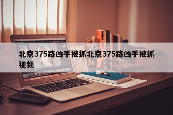 北京375路凶手被抓北京375路凶手被抓视频